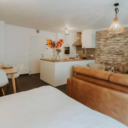 Oasi With Parking And Terrace By Interhome Apartamento