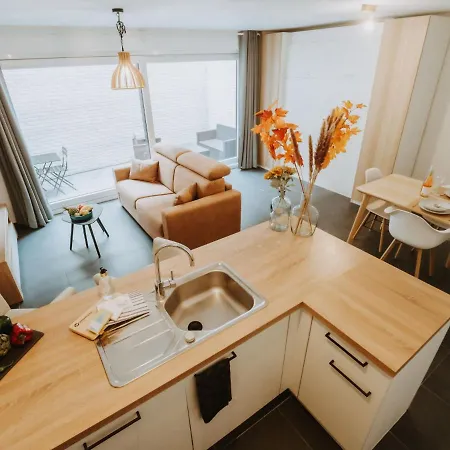 Oasi With Parking And Terrace By Interhome * Blankenberge