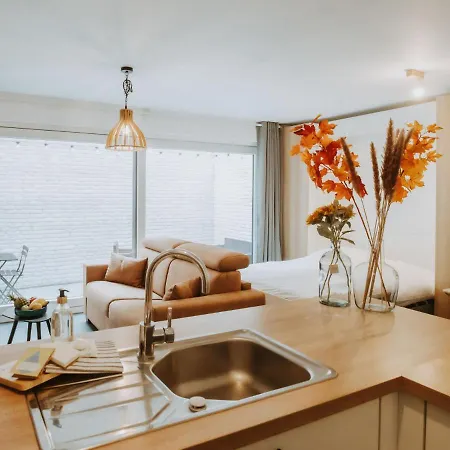 Daire Oasi With Parking And Terrace By Interhome Blankenberge