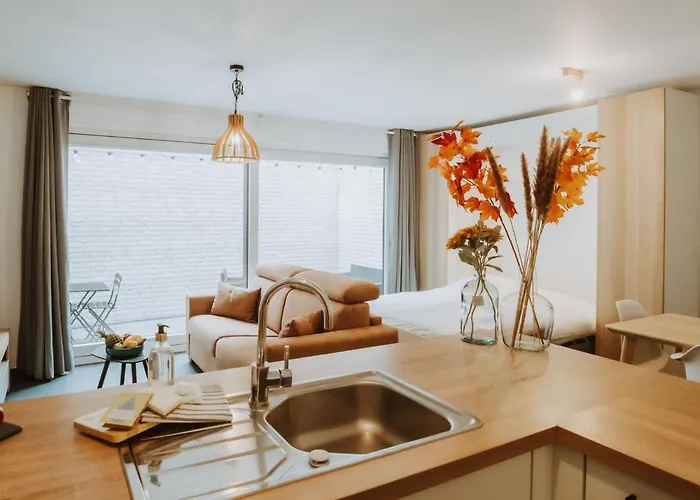 Lägenhet Oasi With Parking And Terrace By Interhome Blankenberge